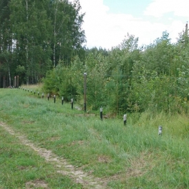 Фундамент на винтовых сваях во Владимирской и Московской области под ключ